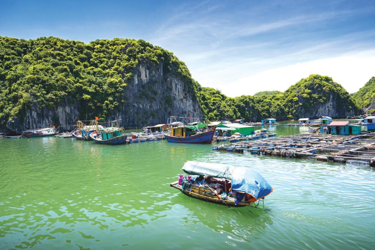 Sena Cruises - Wonder On Lan Ha Bay Hotel Hạ Long-öböl Kültér fotó